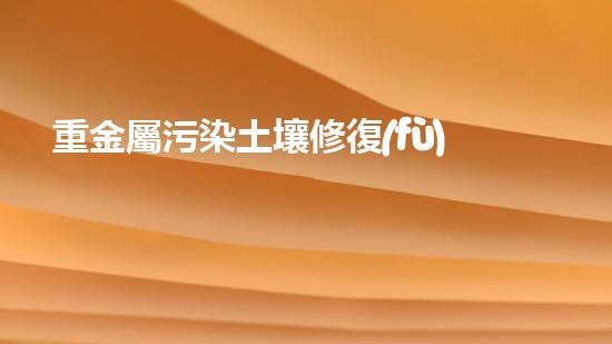 重金屬污染土壤修復(fù)技術(shù) - 讓土地恢復(fù)健康.
